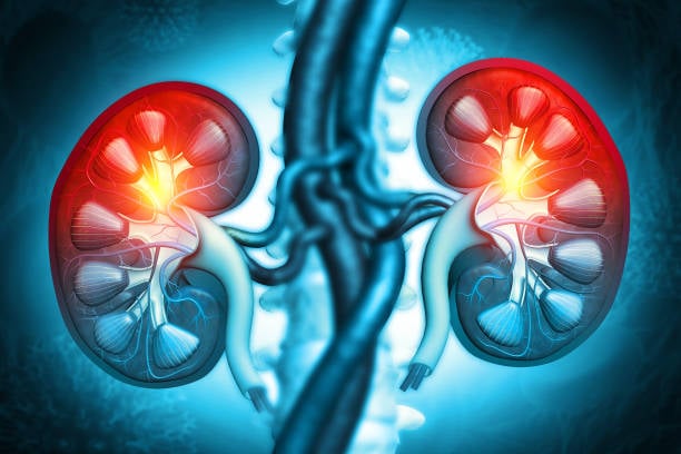 Certified Specialists Certified nephrologists and medical team providing patient care